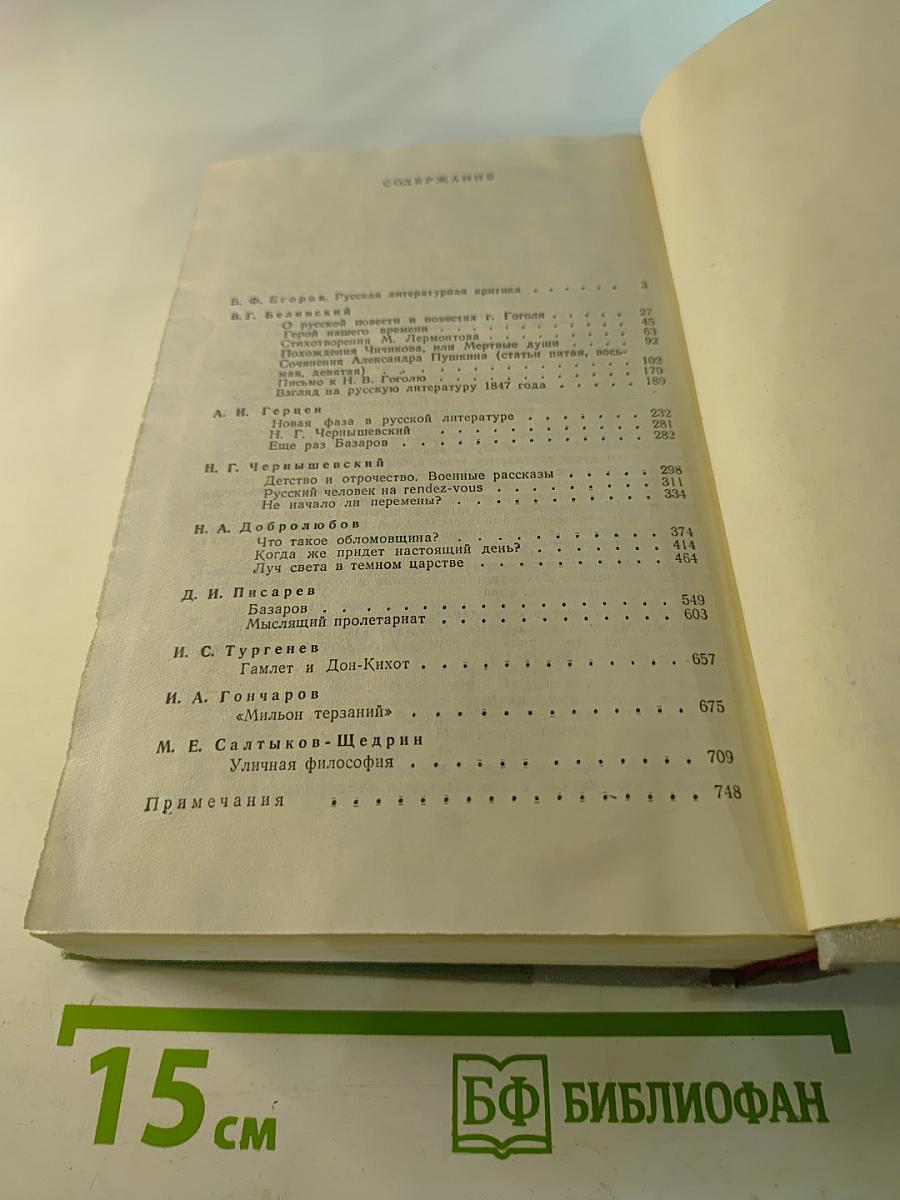 Русская критика