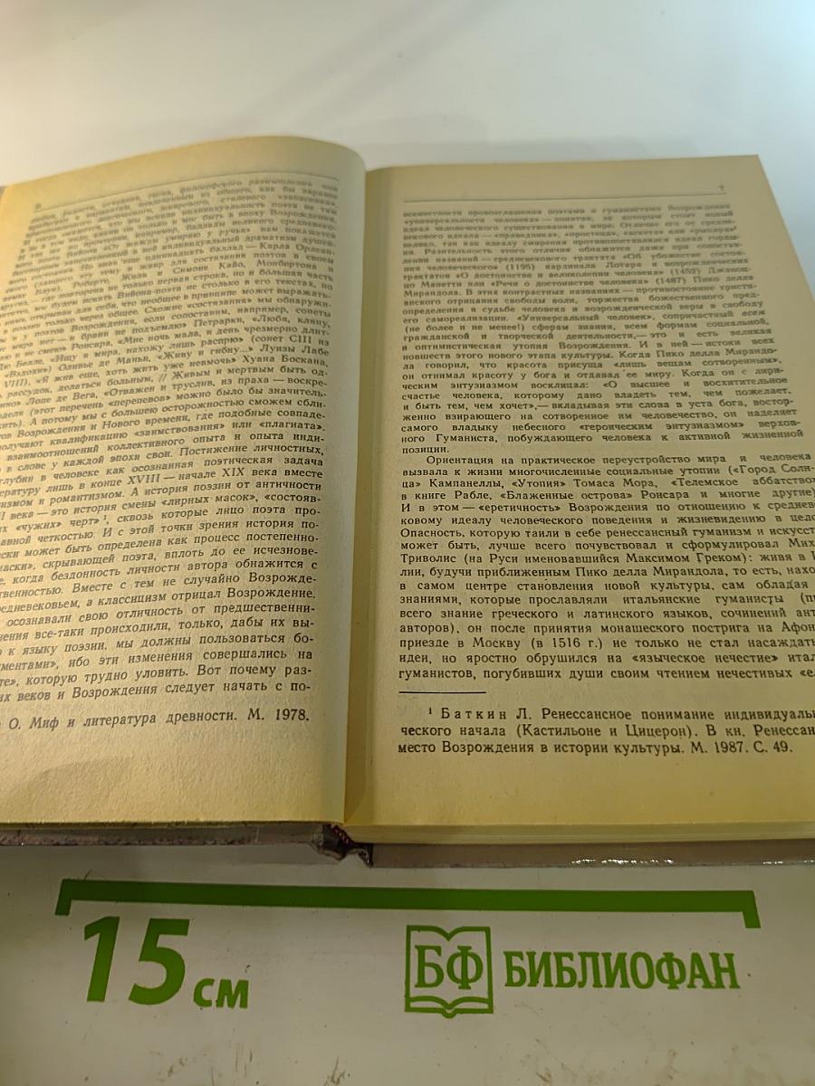 Поэты Возрождения