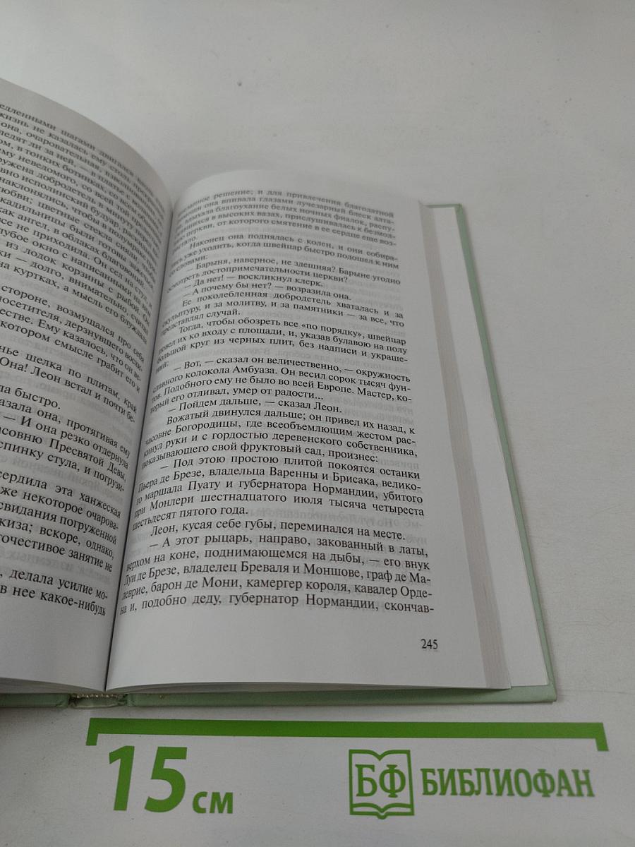 Госпожа Бовари