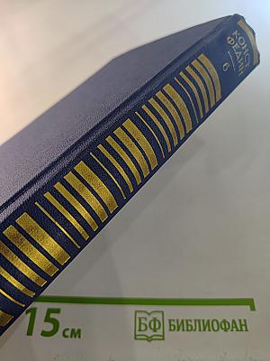 Собрание сочинений. Том 6: Необыкновенное лето