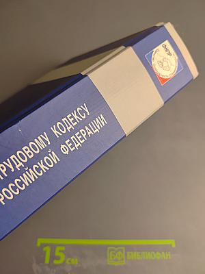 Комментарий постатейный к Трудовому кодексу Российской Федерации