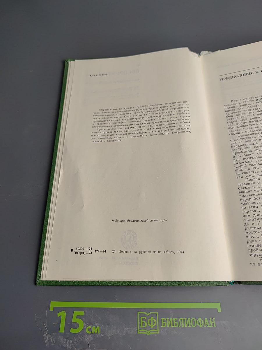 Восприятие: Механизмы и модели