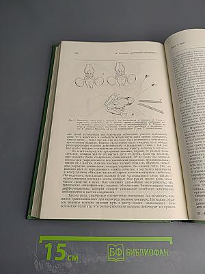 Восприятие: Механизмы и модели