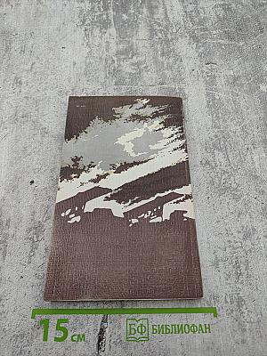 Огонь возмездия