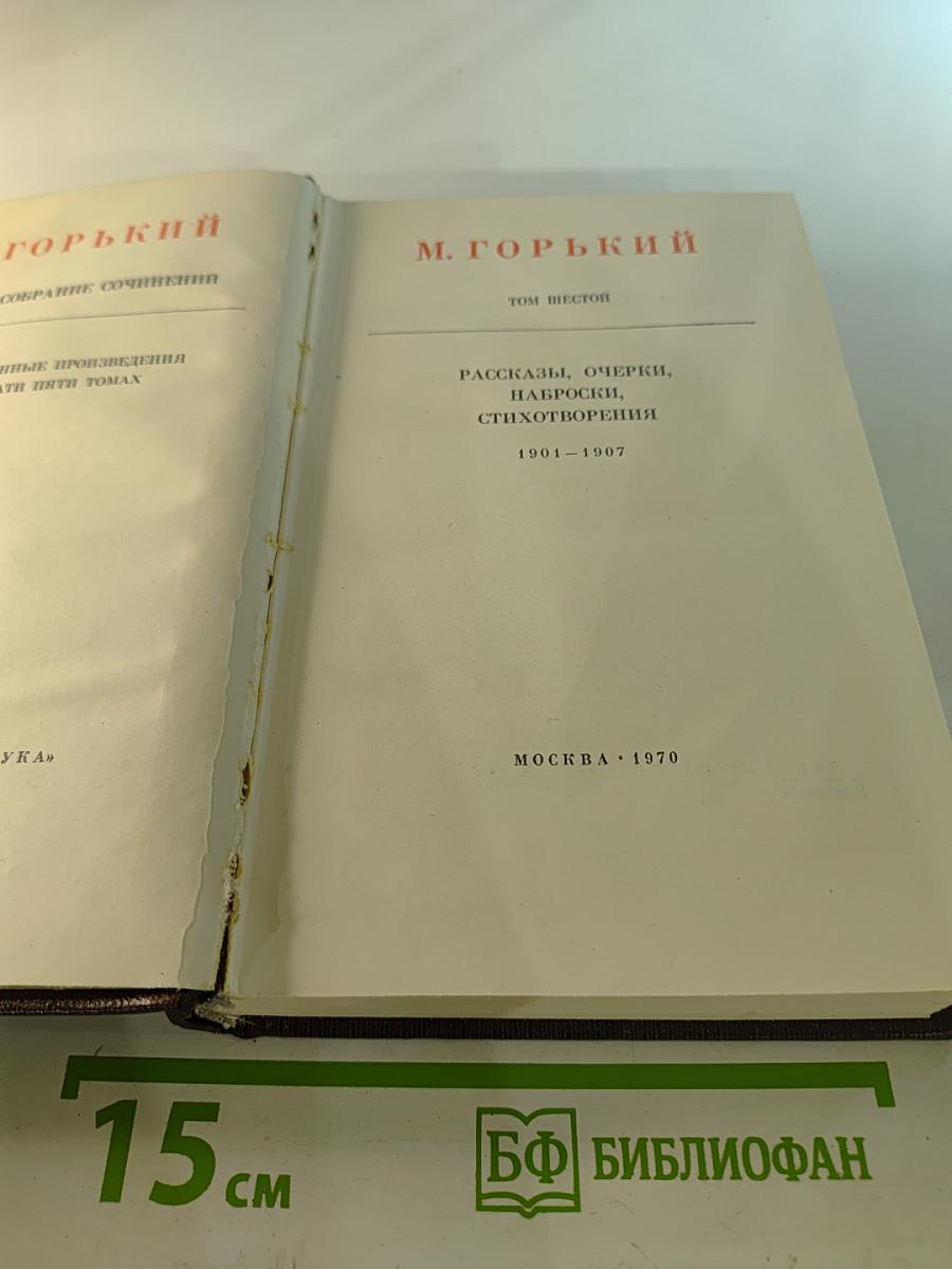 Собрание сочинений. Том шестой: Рассказы, очерки, наброски, стихотворения. 1901-1907