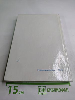 Будущее – океан