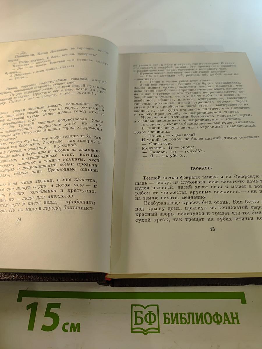 Том семнадцатый. Заметки из дневника. Воспоминания. Рассказы 1922-1924 годов