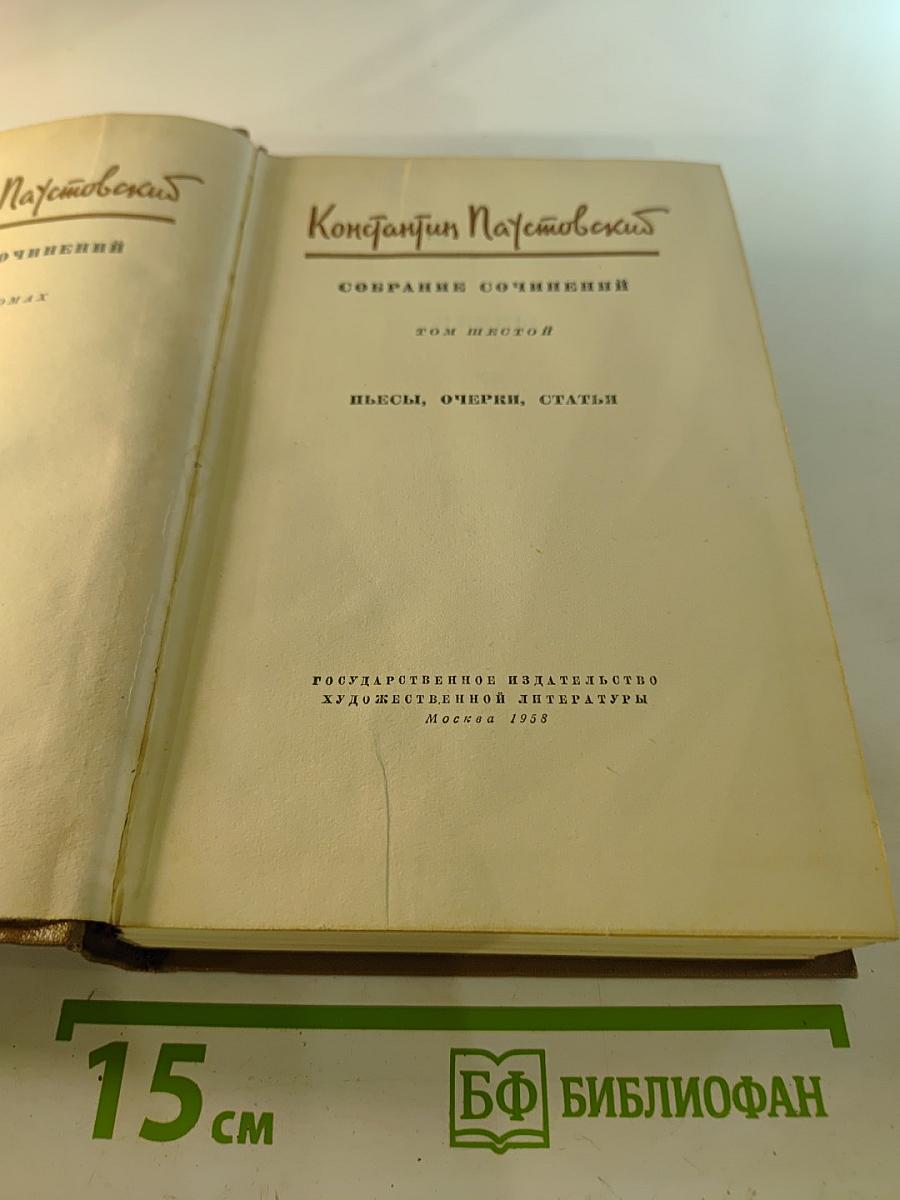 Собрание сочинений. Том шестой: Пьесы, очерки, статьи