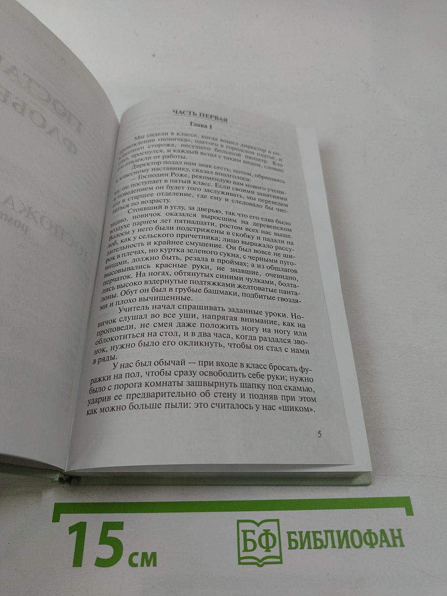 Госпожа Бовари