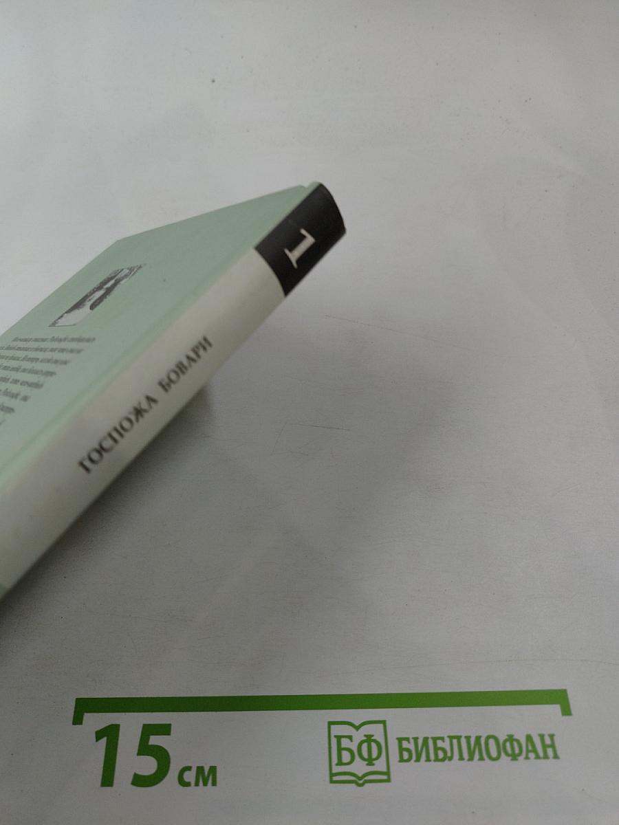 Госпожа Бовари