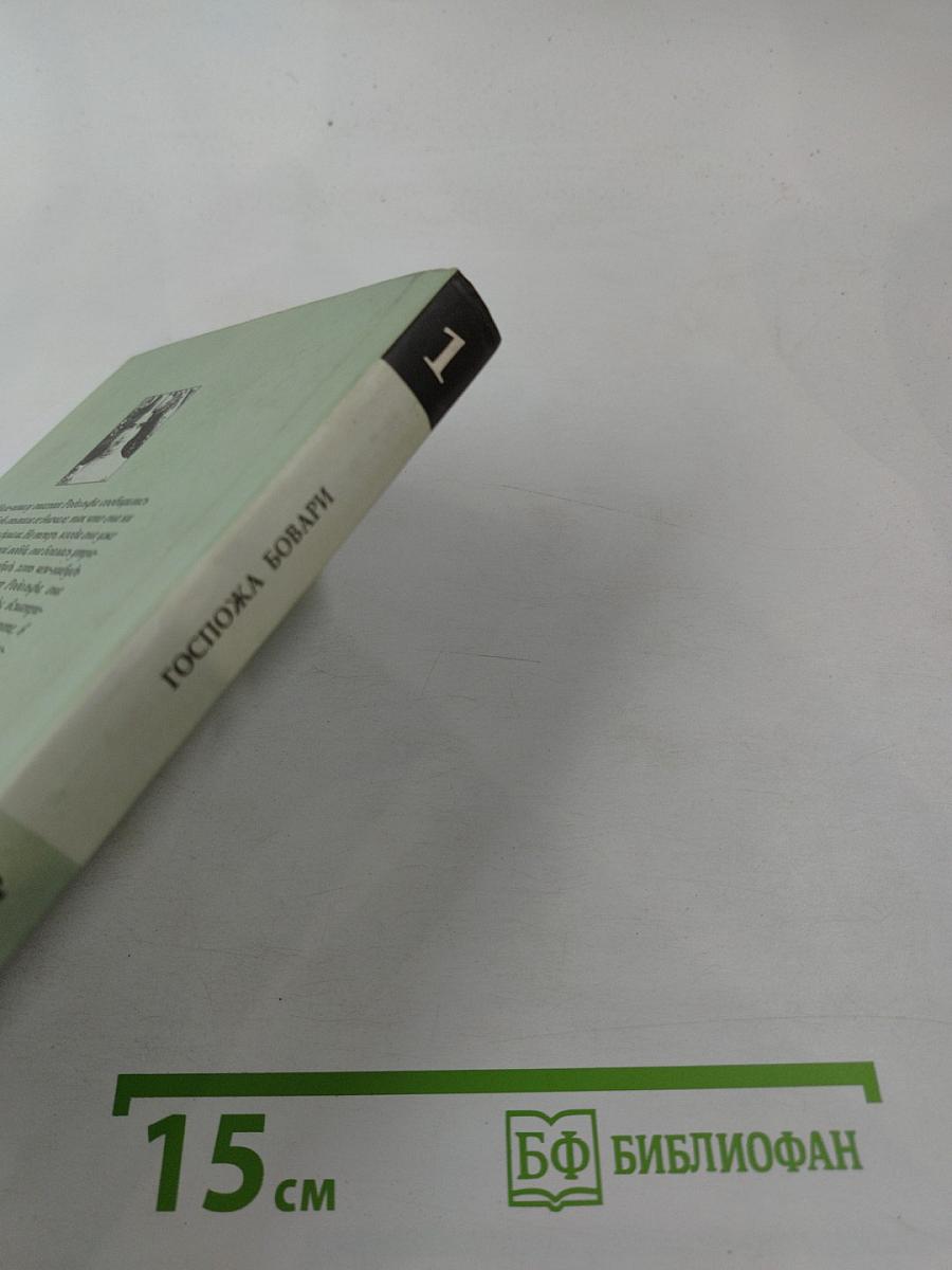 Госпожа Бовари