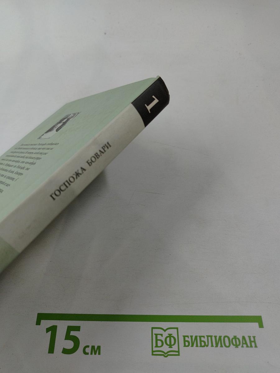 Госпожа Бовари