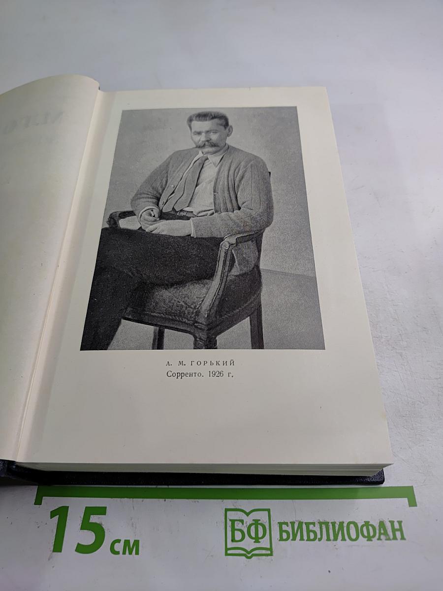 Жизнь Клима Самгина. Том 19