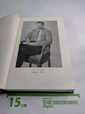 Жизнь Клима Самгина. Том 19