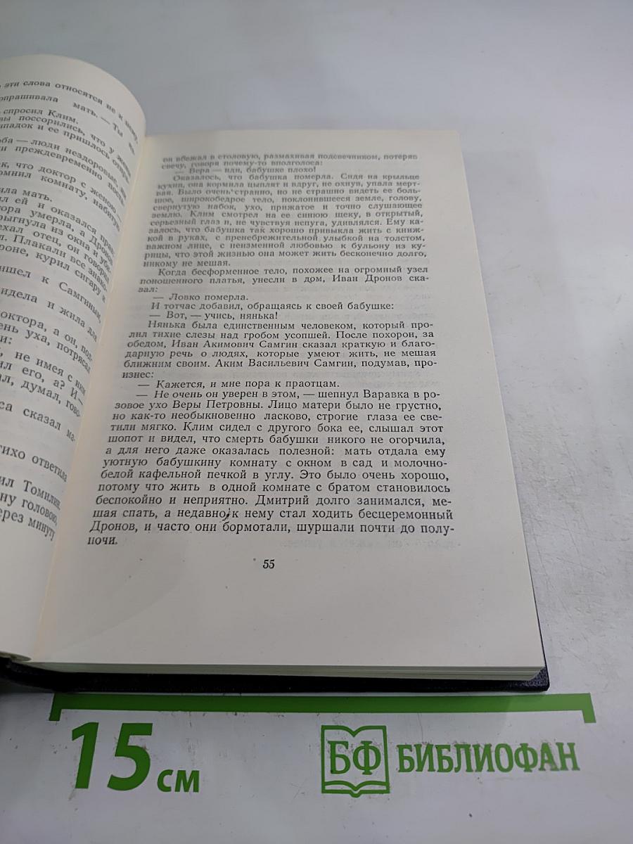 Жизнь Клима Самгина. Том 19