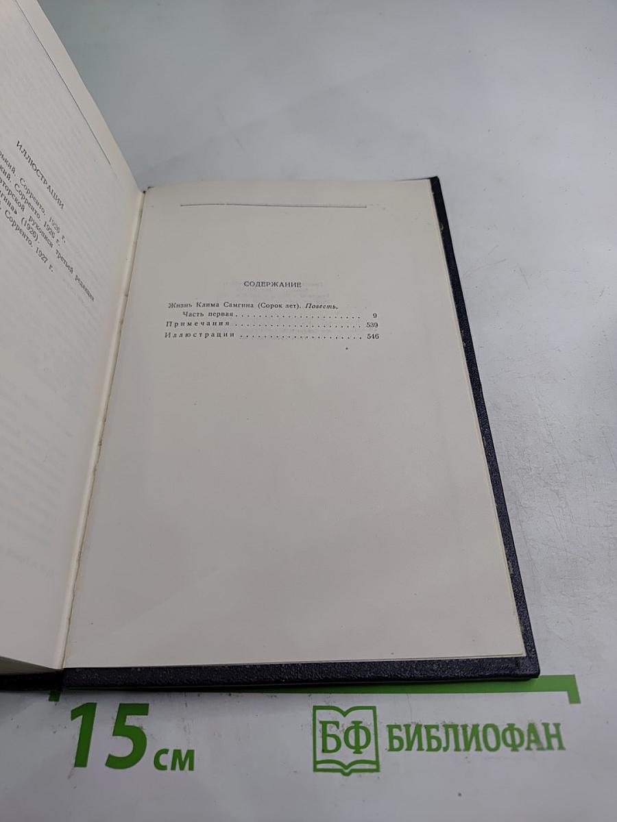 Жизнь Клима Самгина. Том 19