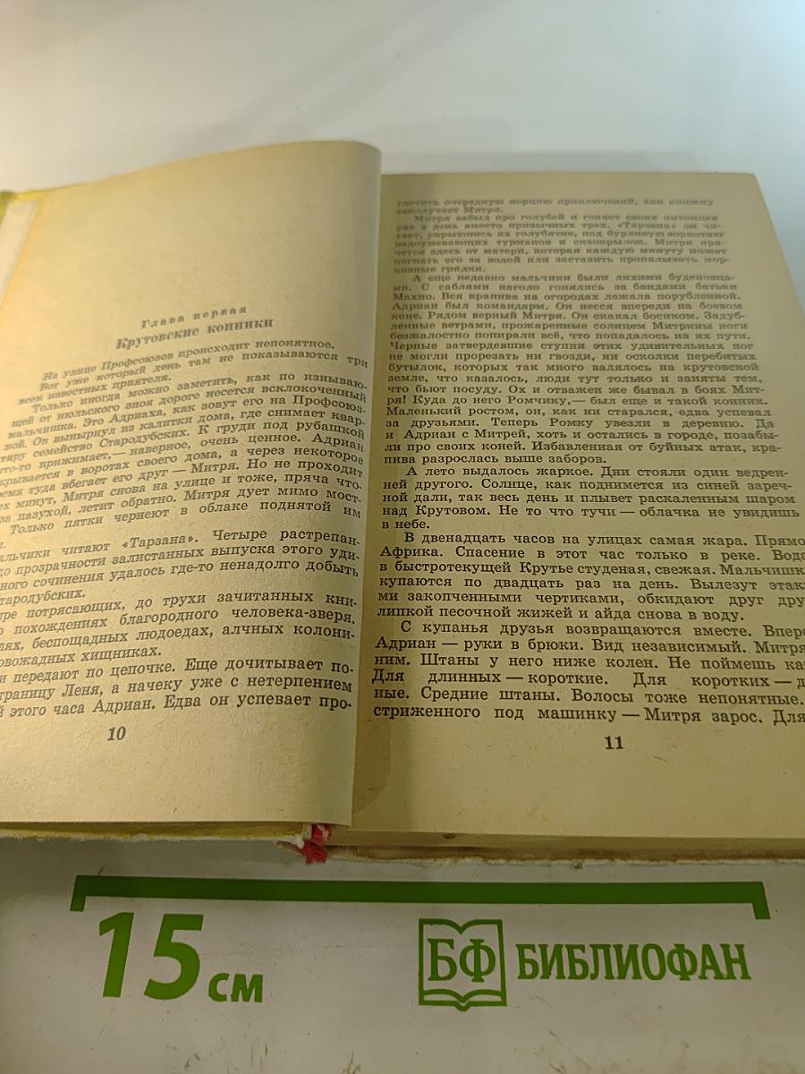 Старик прячется в тень и другие истории