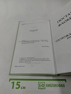 Госпожа Бовари. 1 том