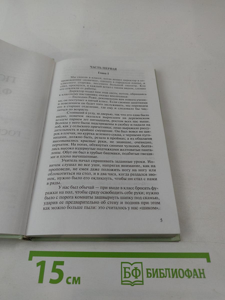 Госпожа Бовари. 1 том