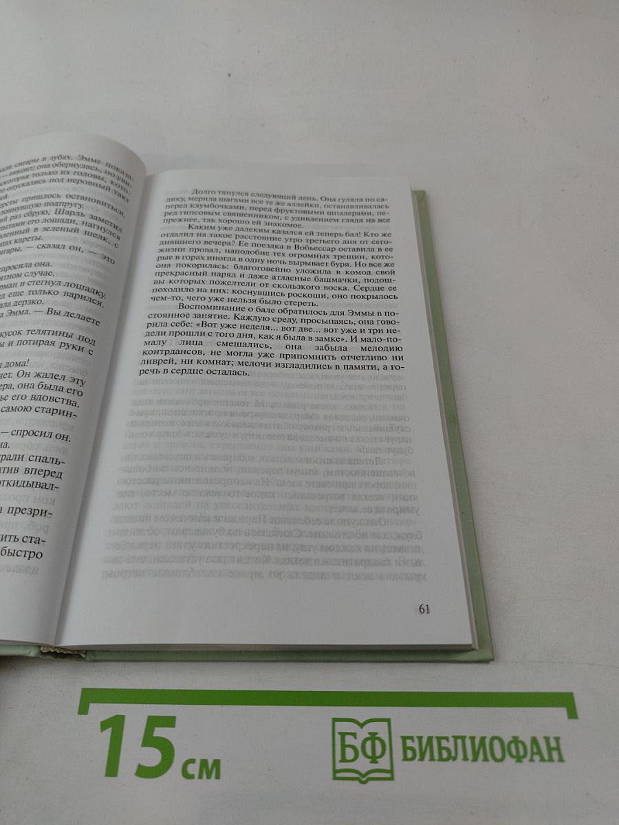 Госпожа Бовари. 1 том