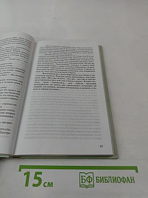 Госпожа Бовари. 1 том