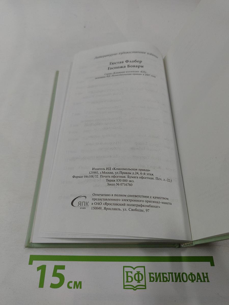 Госпожа Бовари. 1 том