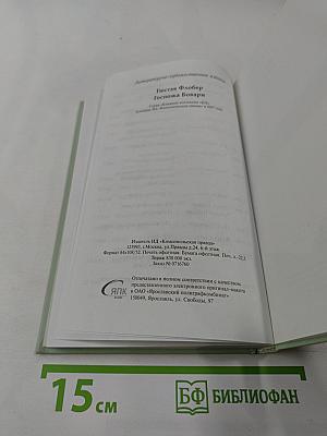 Госпожа Бовари. 1 том