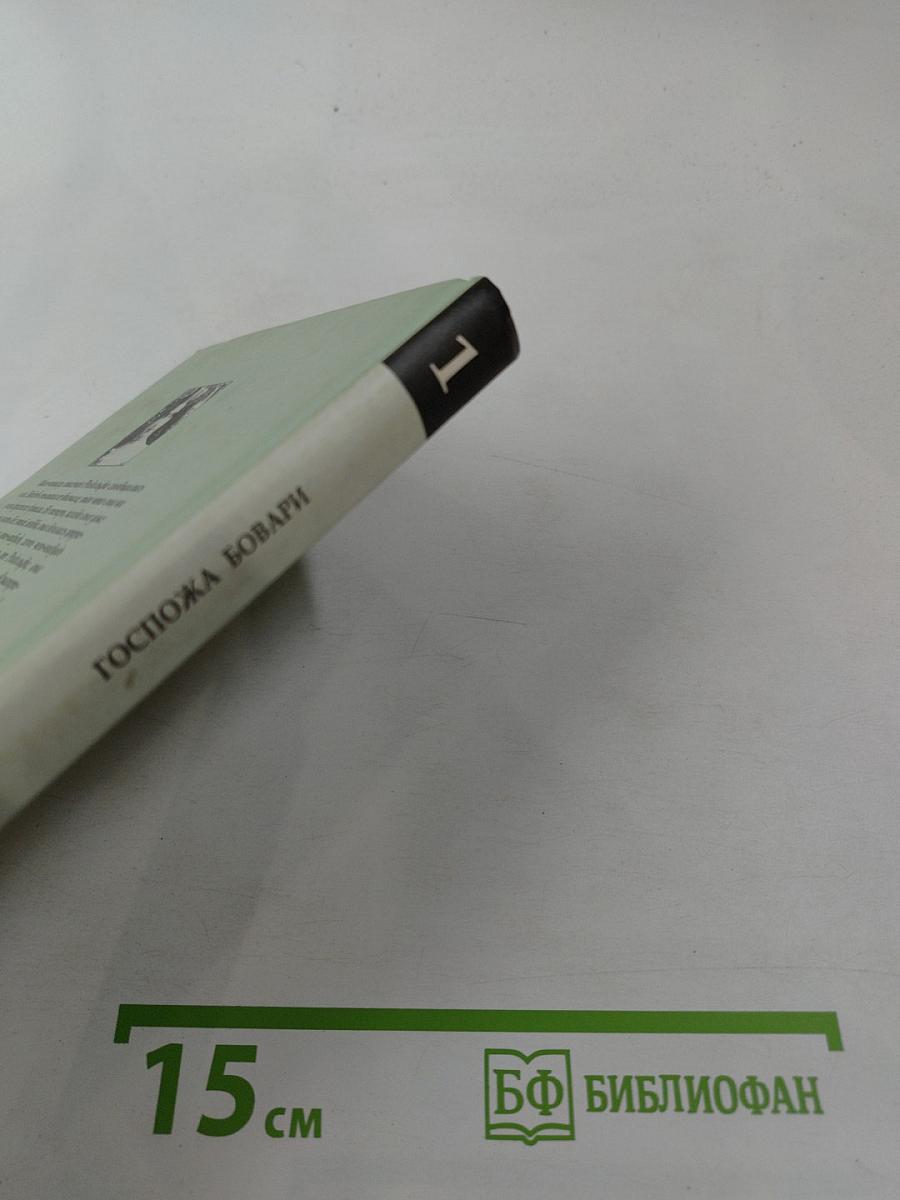 Госпожа Бовари. 1 том