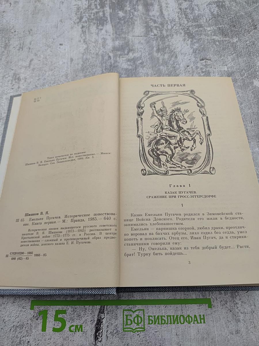 Емельян Пугачев. Историческое повествование. Книга первая