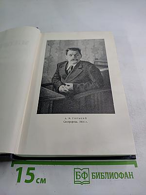 Сочинения. Том 12. Пьесы 1908-1915