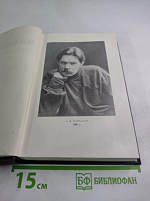 Собрание сочинений. Том 23. Статьи 1895-1906
