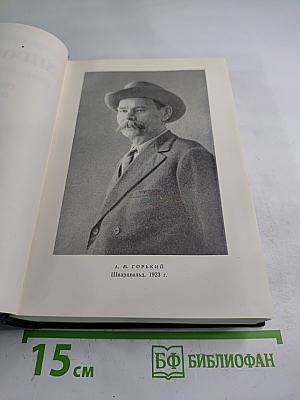 Статьи, речи, приветствия. Том 24