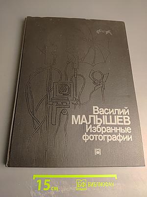 Избранные фотографии