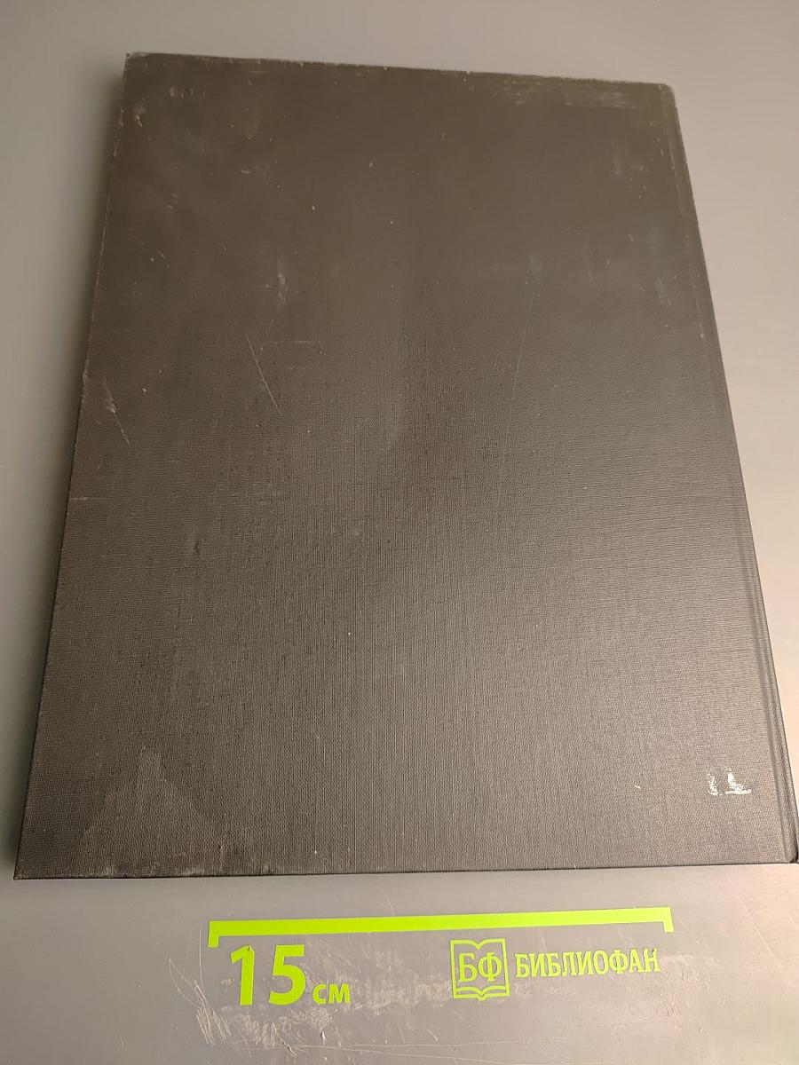 Избранные фотографии