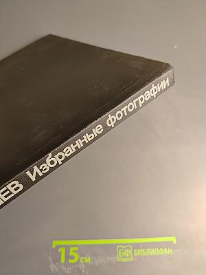 Избранные фотографии