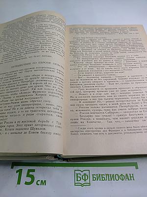 Битва железных канцлеров