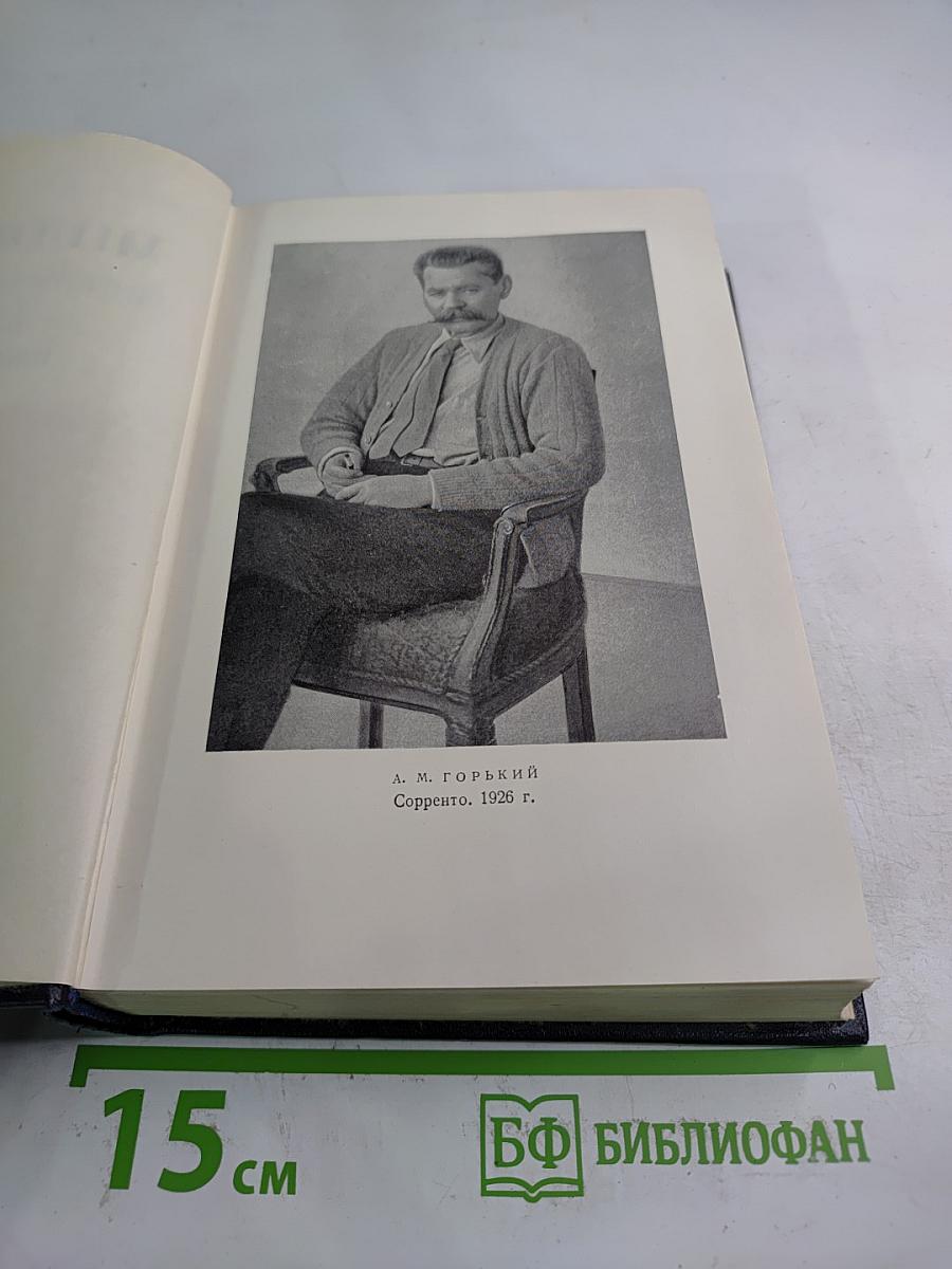 Жизнь Клима Самгина. Том 19