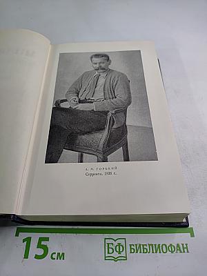 Жизнь Клима Самгина. Том 19