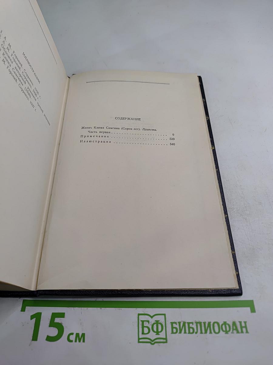 Жизнь Клима Самгина. Том 19