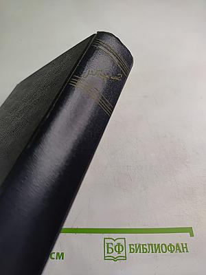 Жизнь Клима Самгина. Том 19