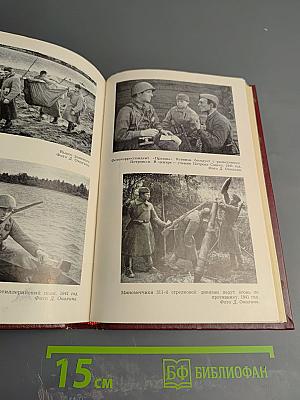 На Волховском фронте