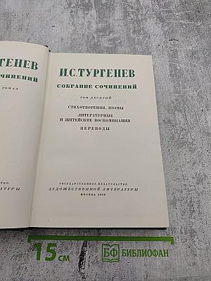 Собрание сочинений. Том десятый: Стихотворения, поэмы, литературные и житейские воспоминания, переводы