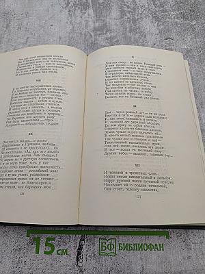 Собрание сочинений. Том десятый: Стихотворения, поэмы, литературные и житейские воспоминания, переводы