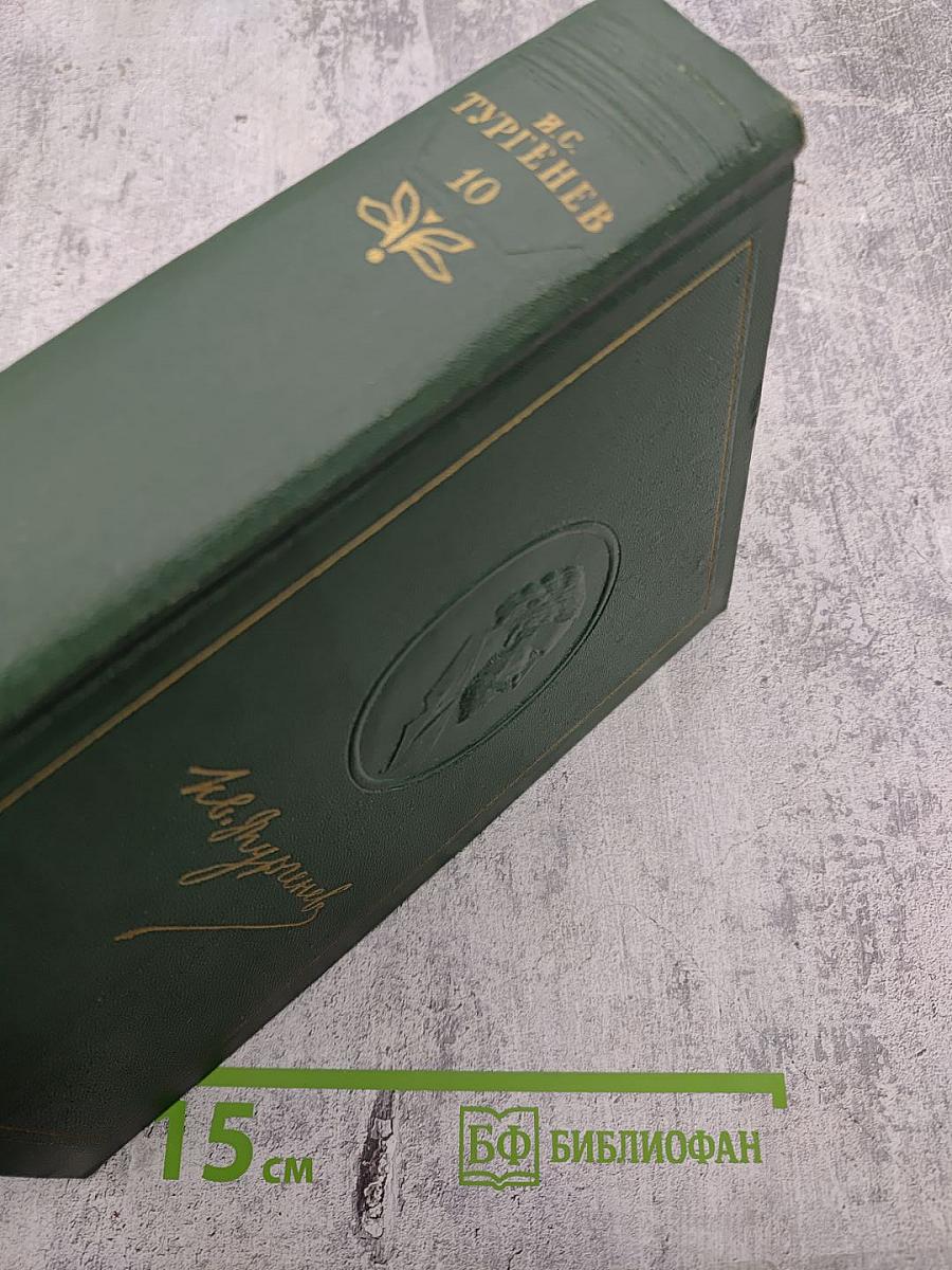 Собрание сочинений. Том десятый: Стихотворения, поэмы, литературные и житейские воспоминания, переводы