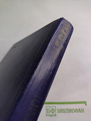 Империя Смерти: Аппарат насилия в нацистской Германии 1933-1945