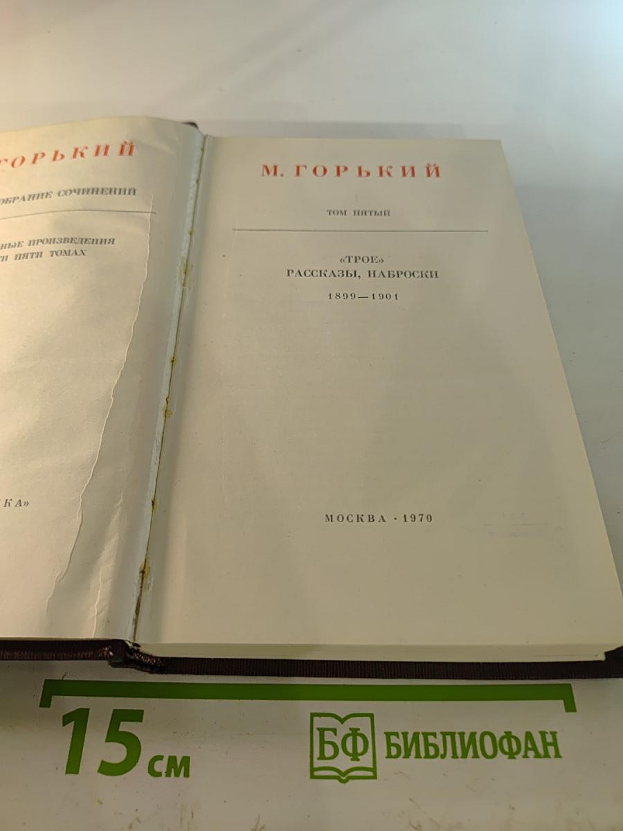 Собрание сочинений. Том пятый: «Трое». Рассказы, наброски