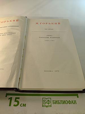 Собрание сочинений. Том пятый: «Трое». Рассказы, наброски