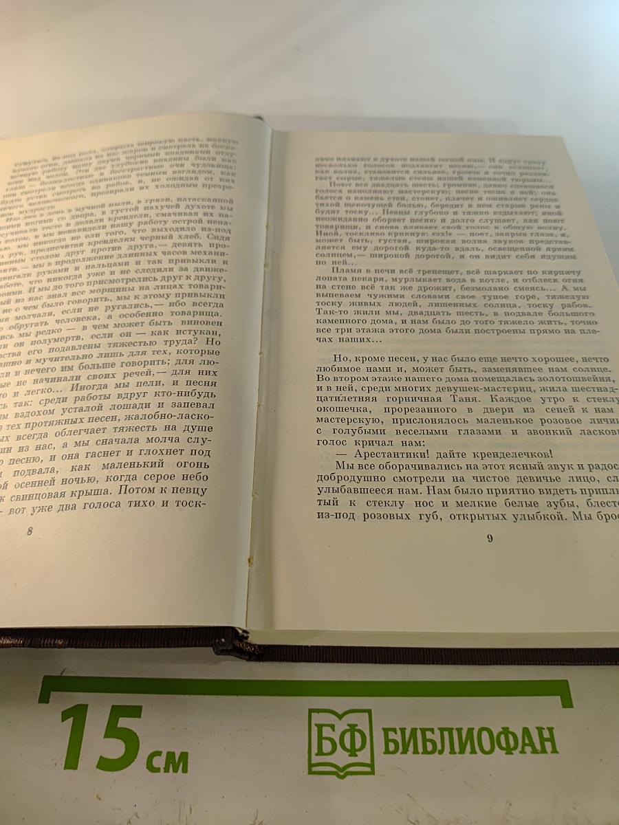 Собрание сочинений. Том пятый: «Трое». Рассказы, наброски