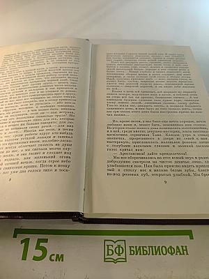 Собрание сочинений. Том пятый: «Трое». Рассказы, наброски