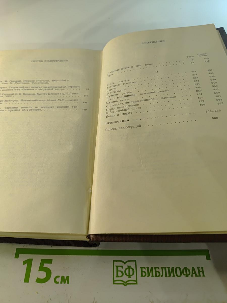 Собрание сочинений. Том пятый: «Трое». Рассказы, наброски